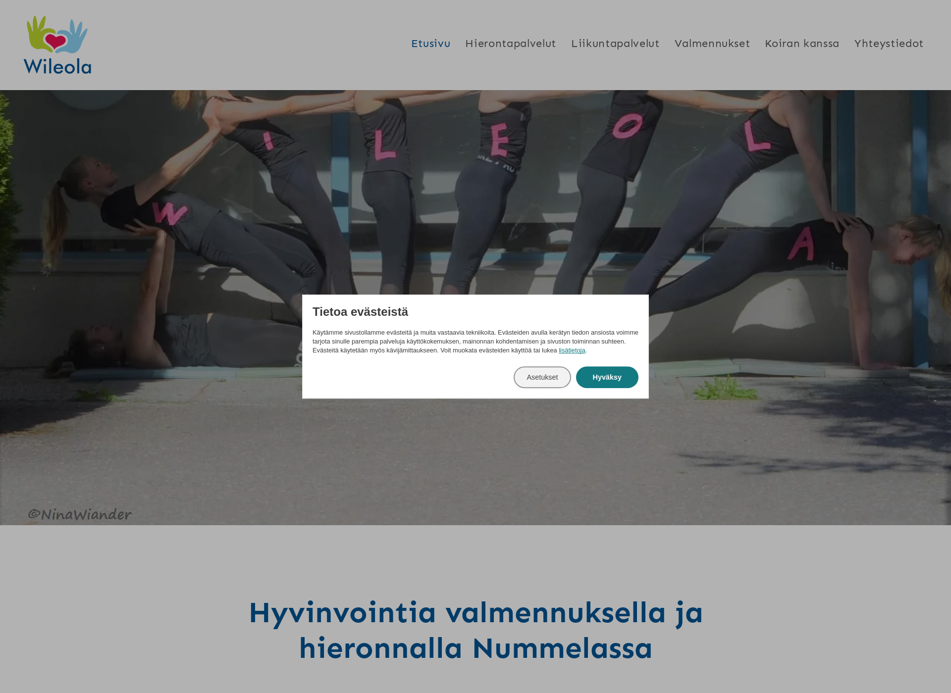Screenshot for wileola.fi