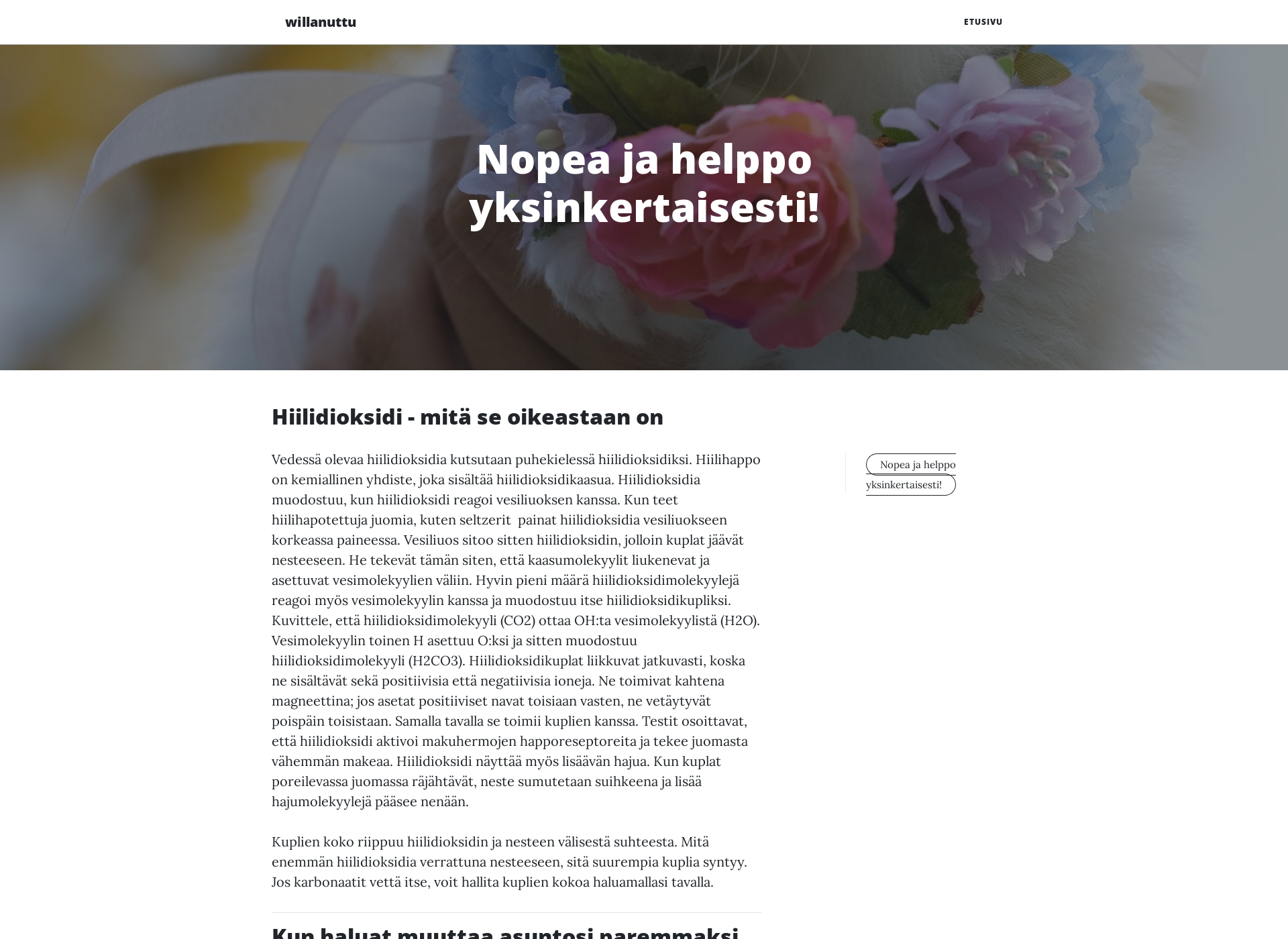 Skärmdump för willanuttu.fi