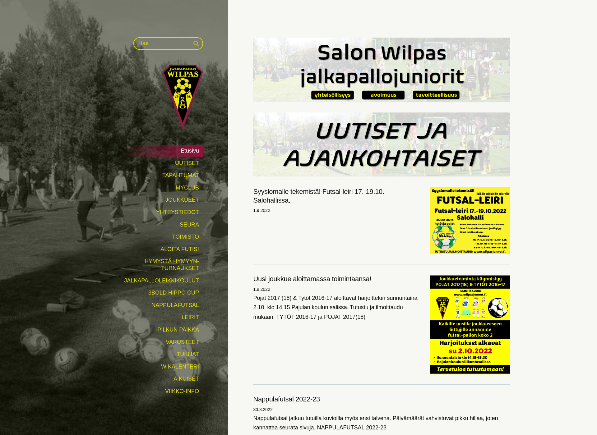 Screenshot for wilpasjunnut.fi
