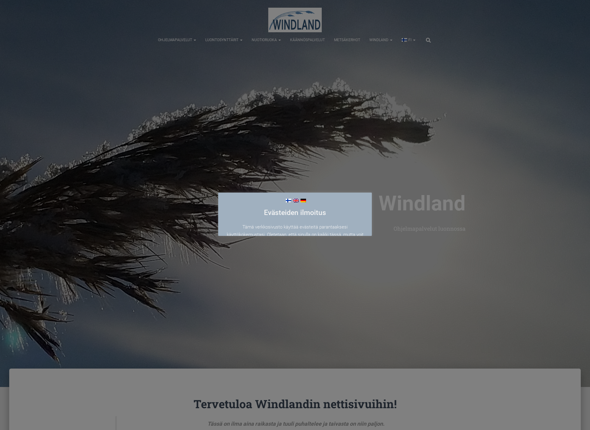 Skärmdump för windland.fi