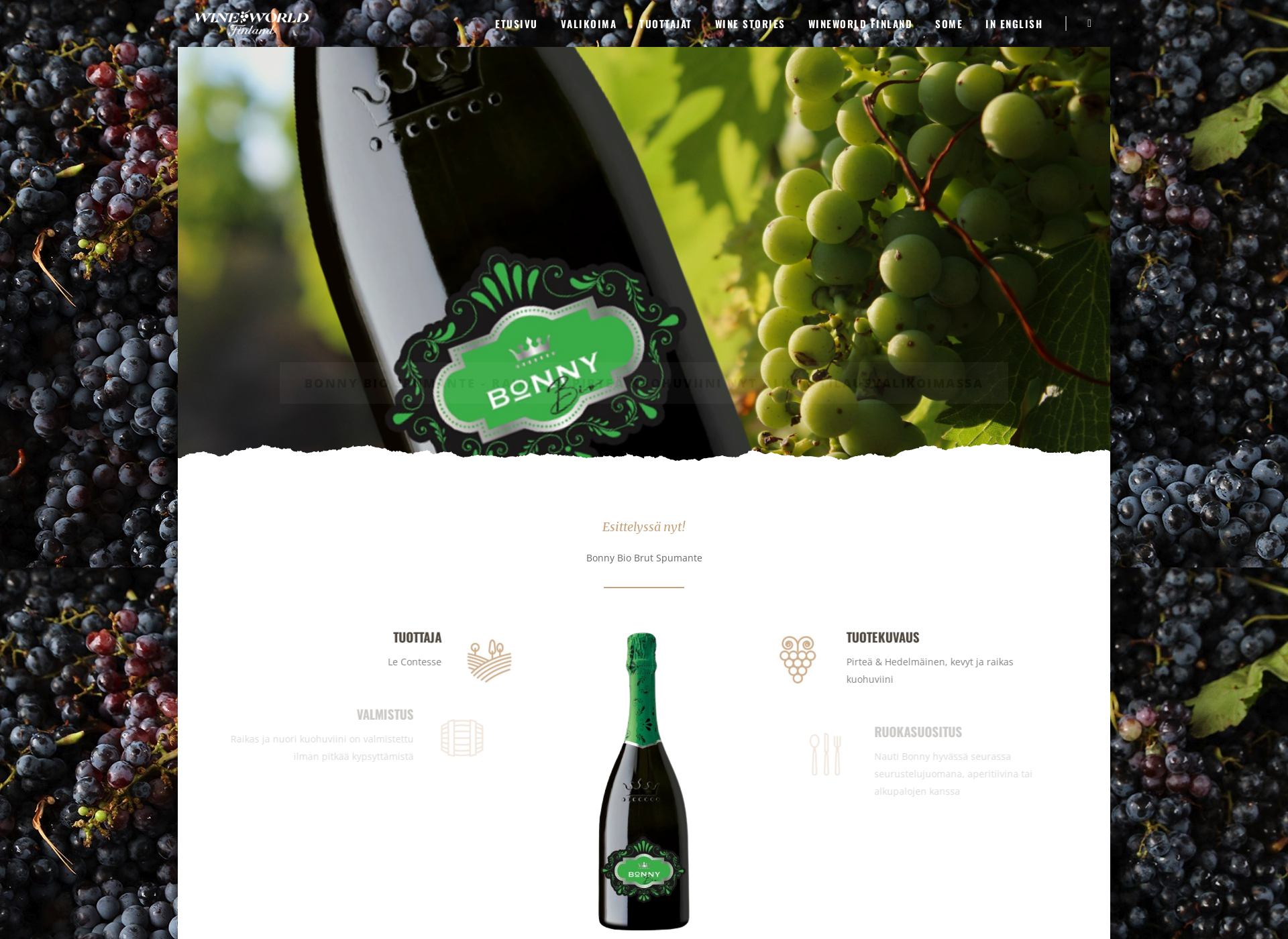 Skärmdump för wineworld.fi