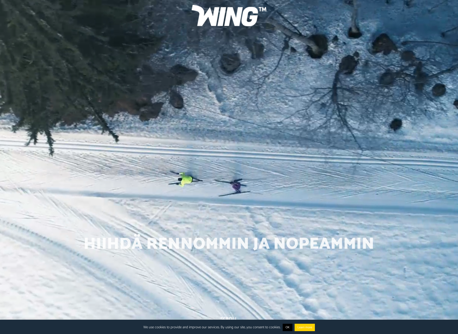 Skärmdump för wing-ski.fi