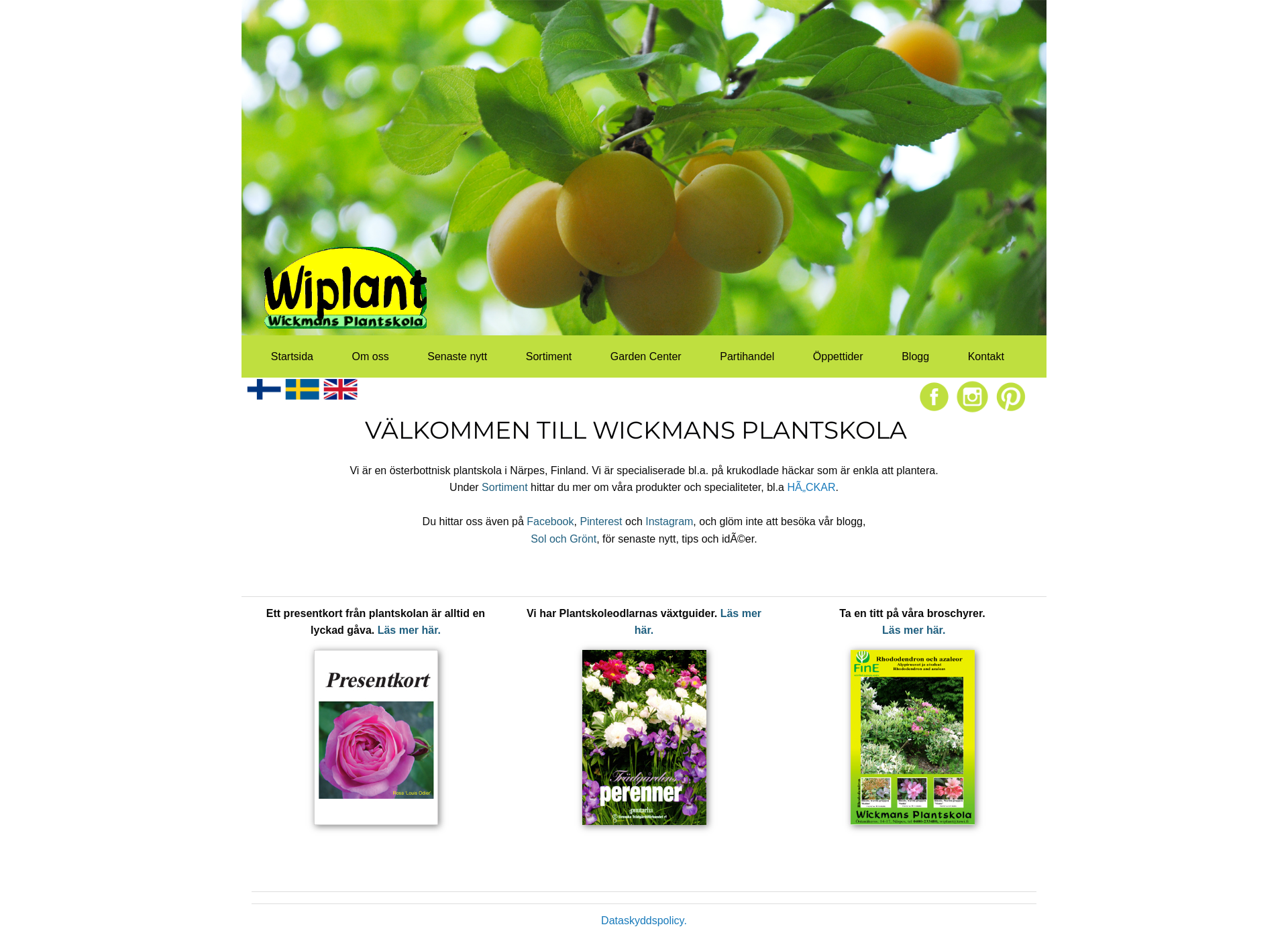 Skärmdump för wiplant.fi