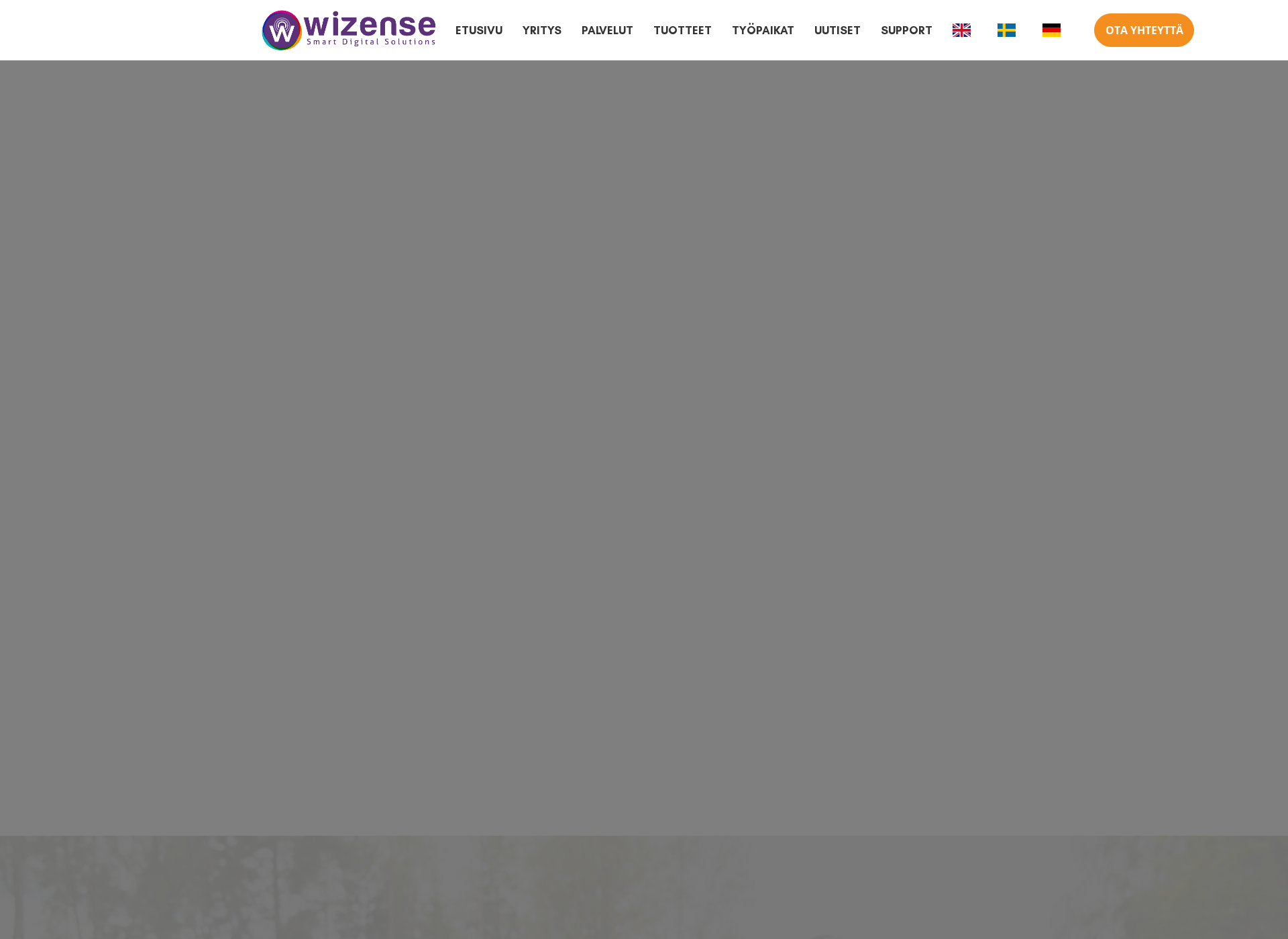 Screenshot for wizense.com