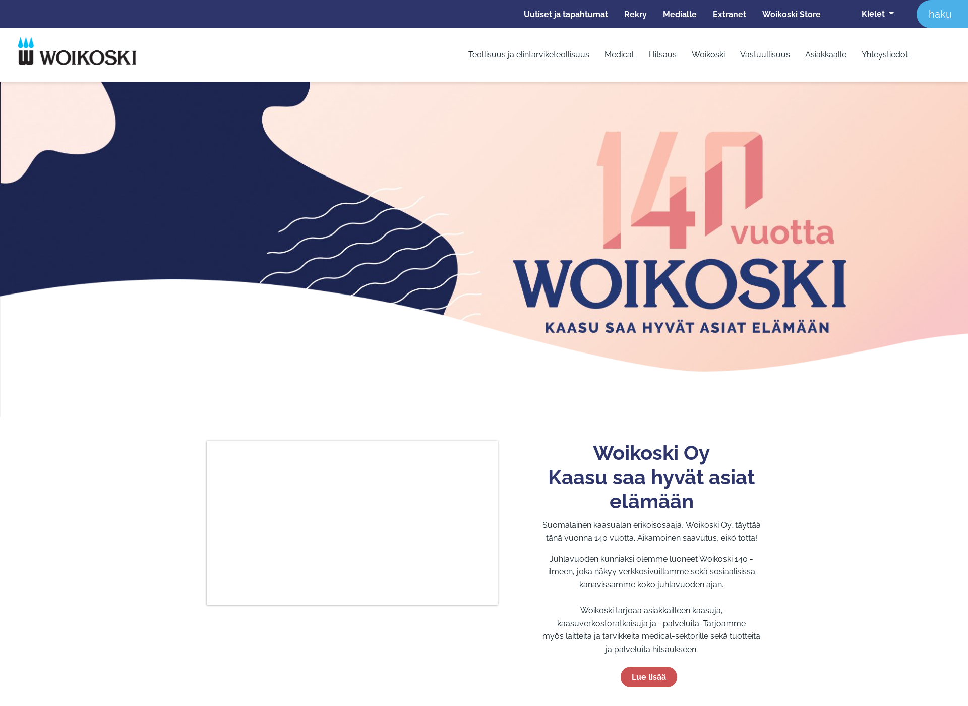 Screenshot for woikoski.fi