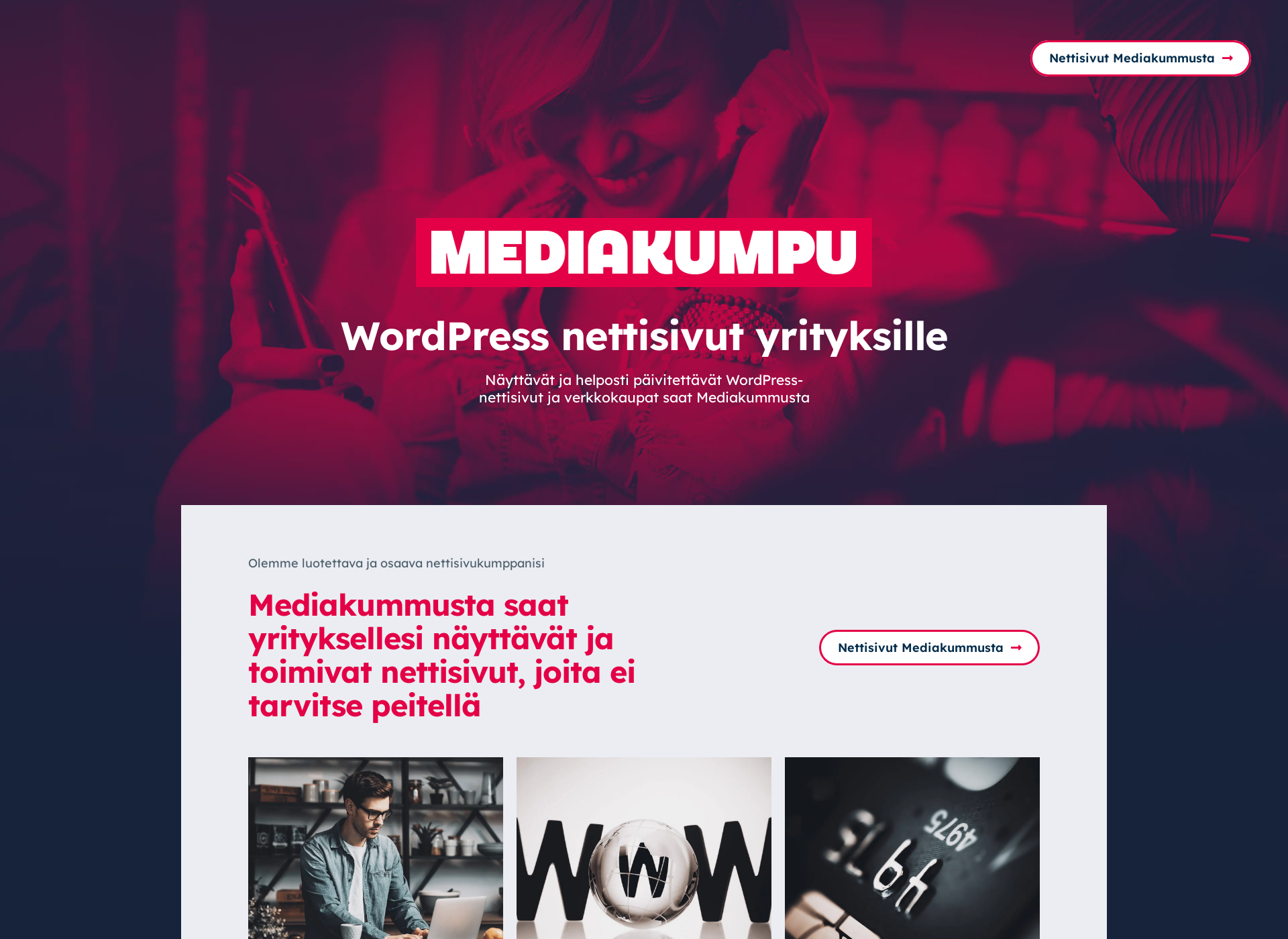 Näyttökuva wordpressnettisivut.fi