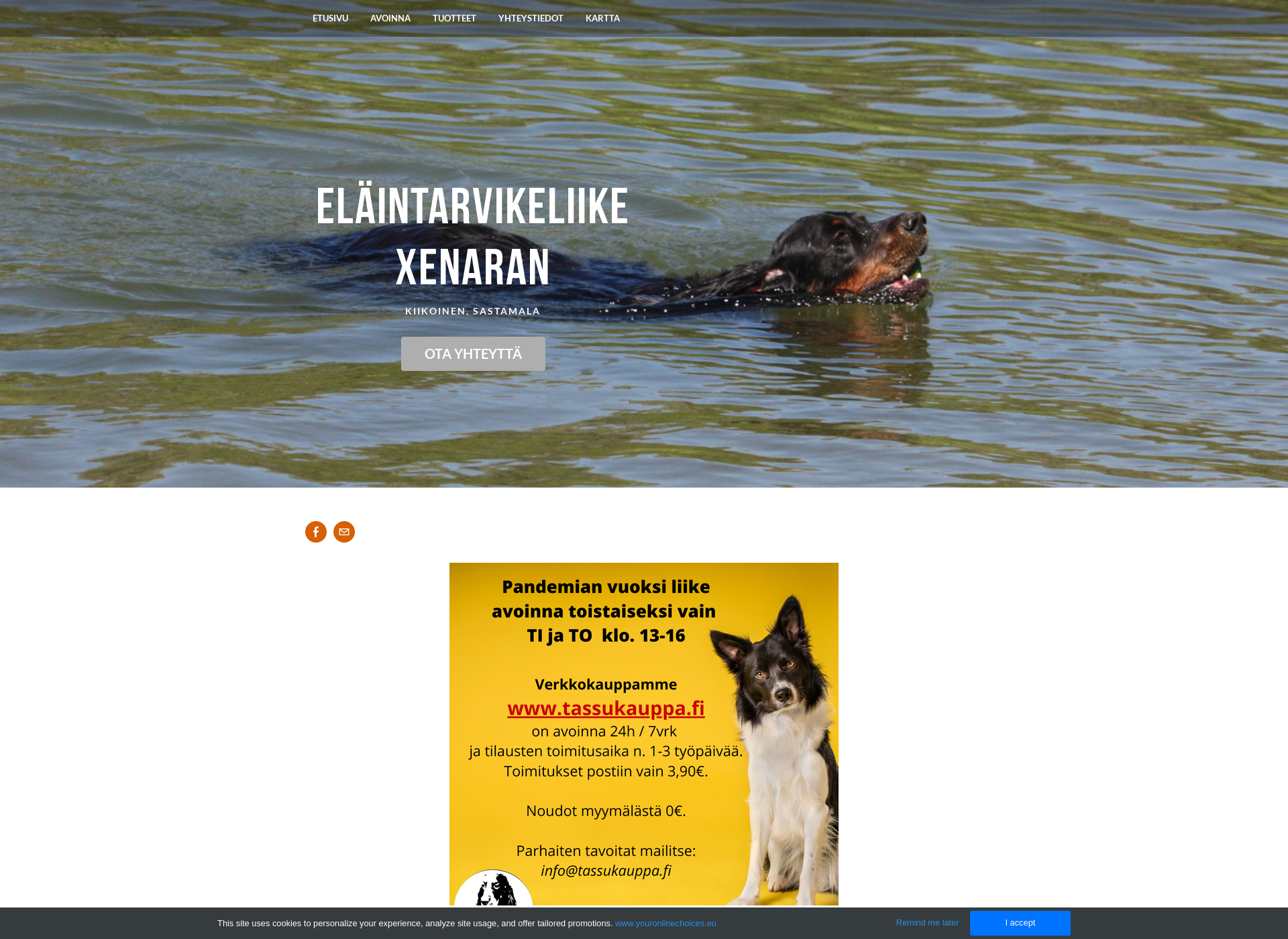 Screenshot for xenaran.fi