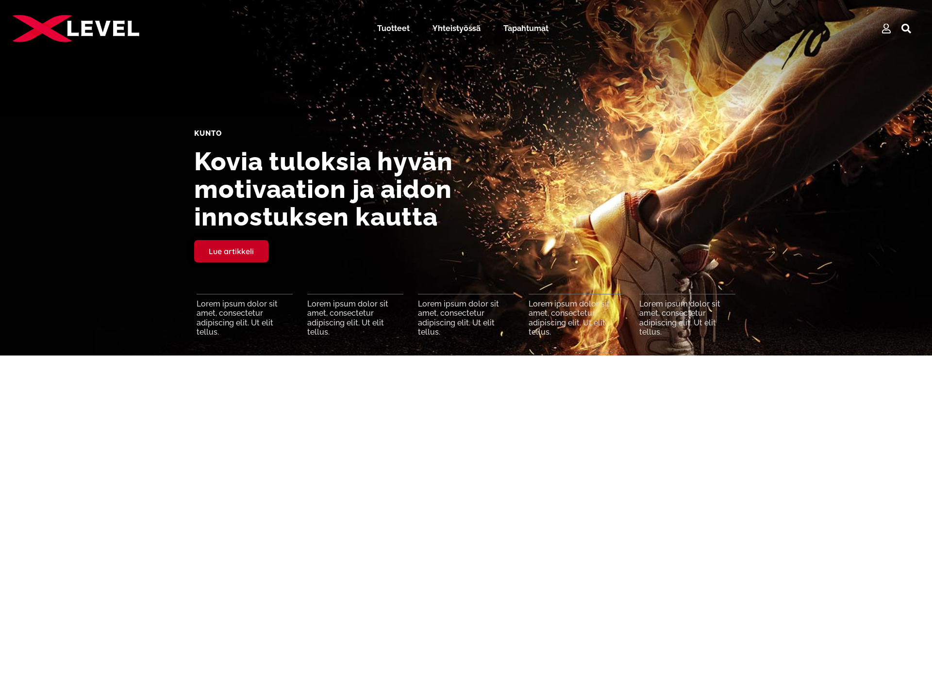 Screenshot for xlevel.fi