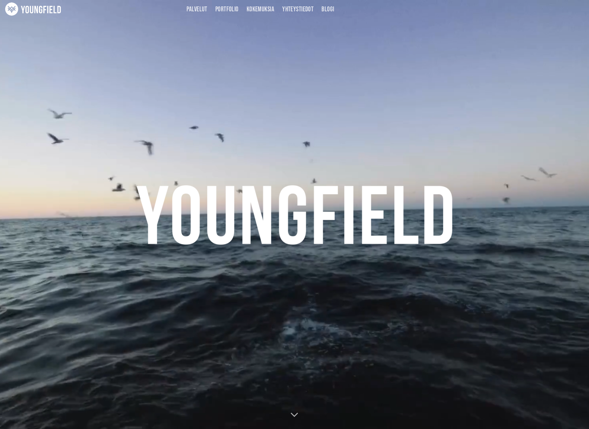 Screenshot for youngfield.fi