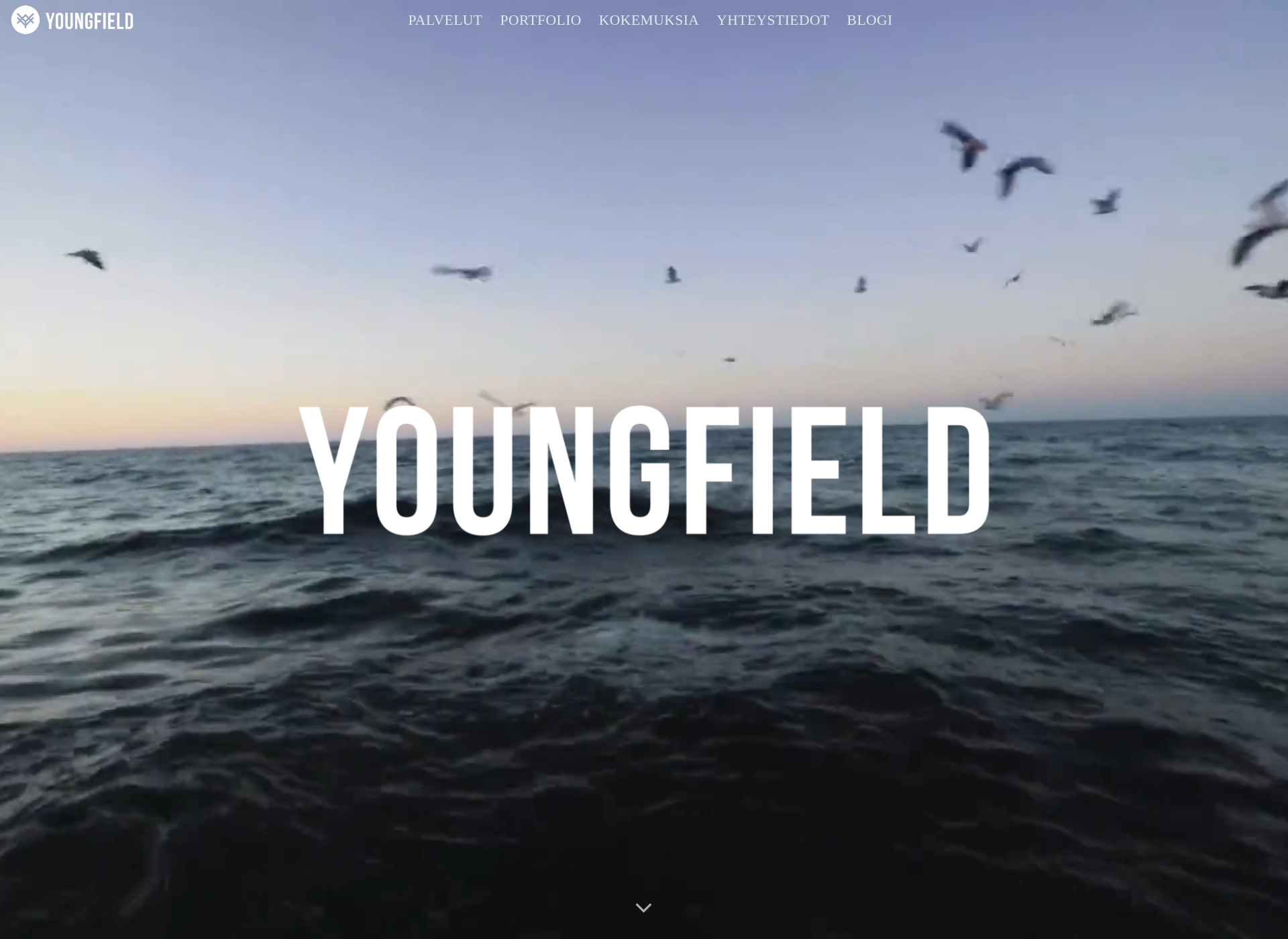 Screenshot for youngfieldfilms.fi