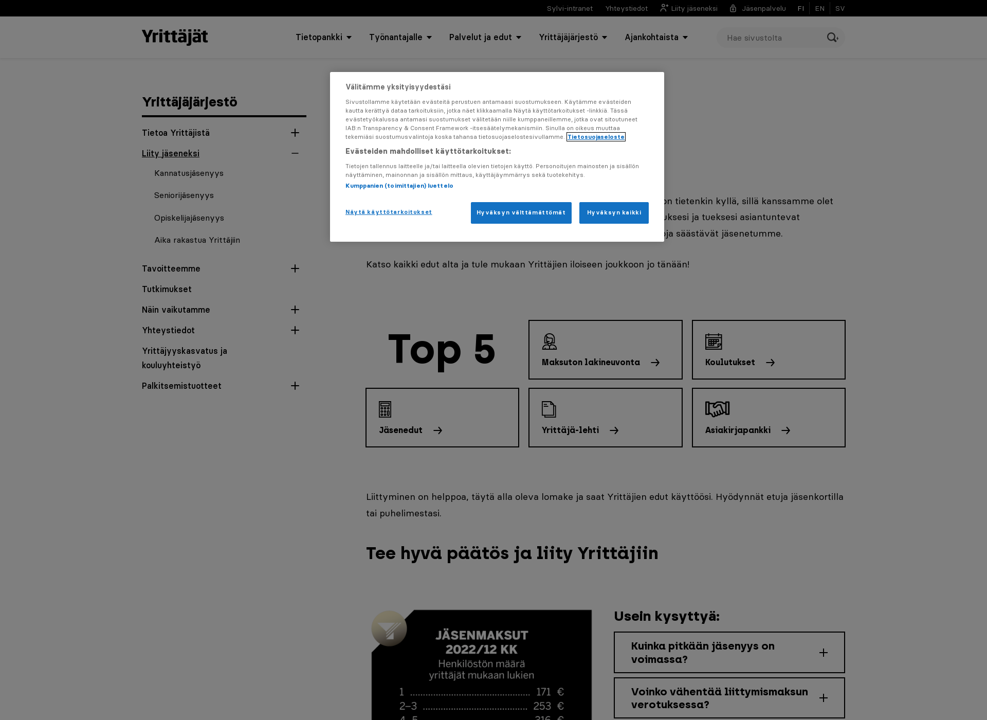 Screenshot for yrittajaksi.fi