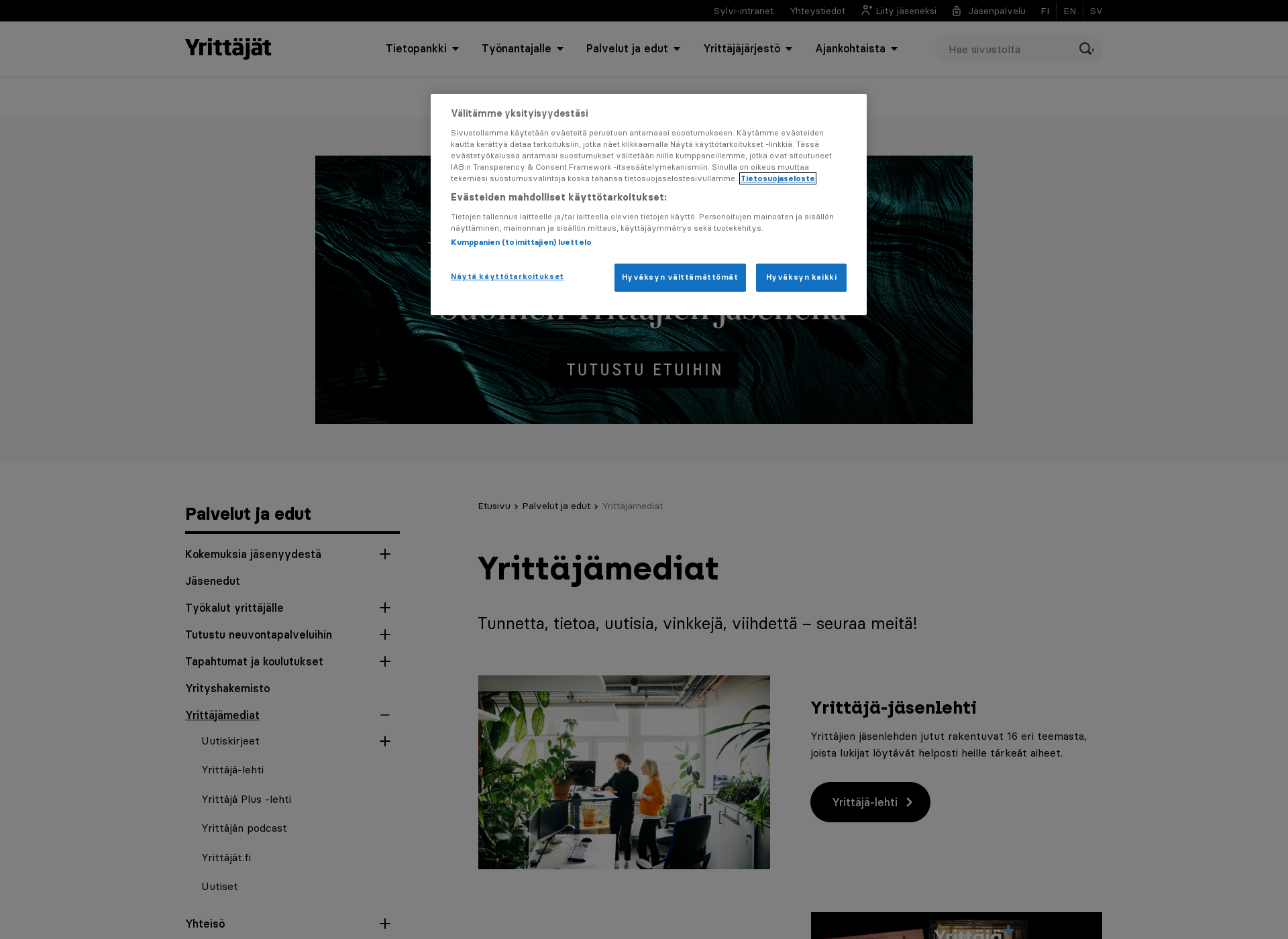 Skärmdump för yrittajamediat.fi