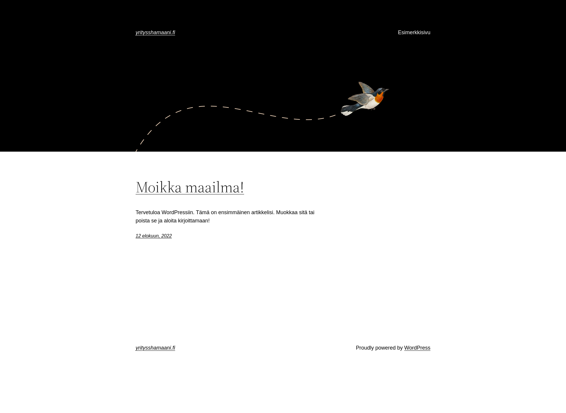 Screenshot for yritysshamaani.fi