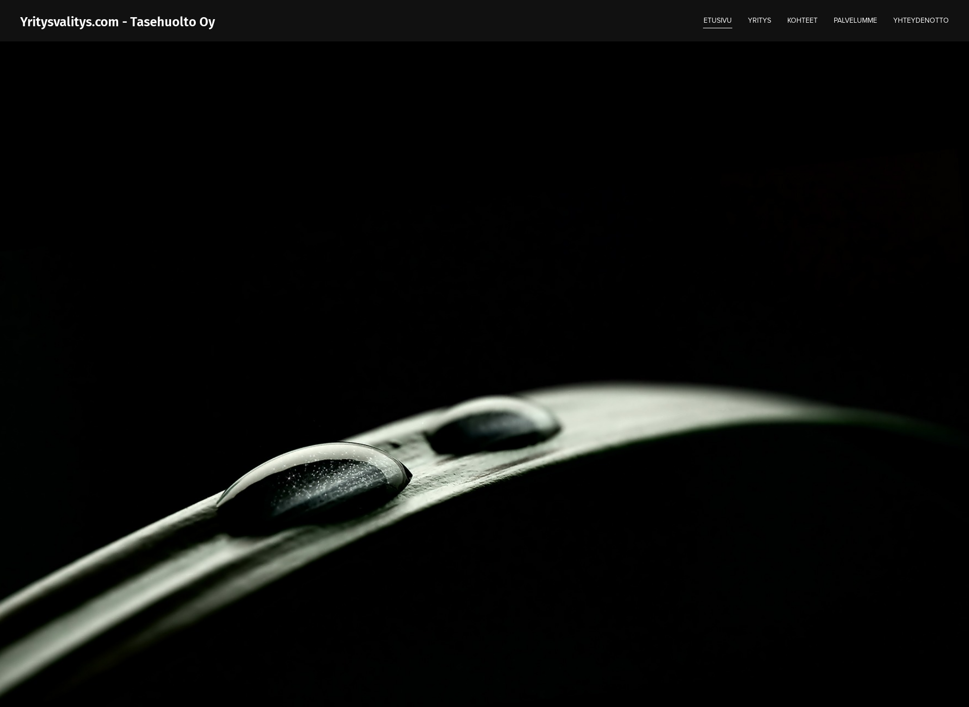 Screenshot for yritysvalitys.com