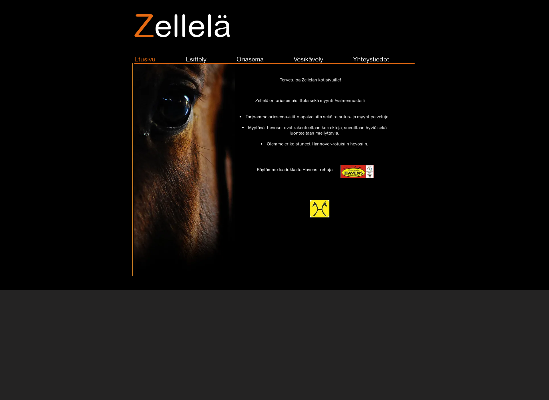 Screenshot for zelle.fi
