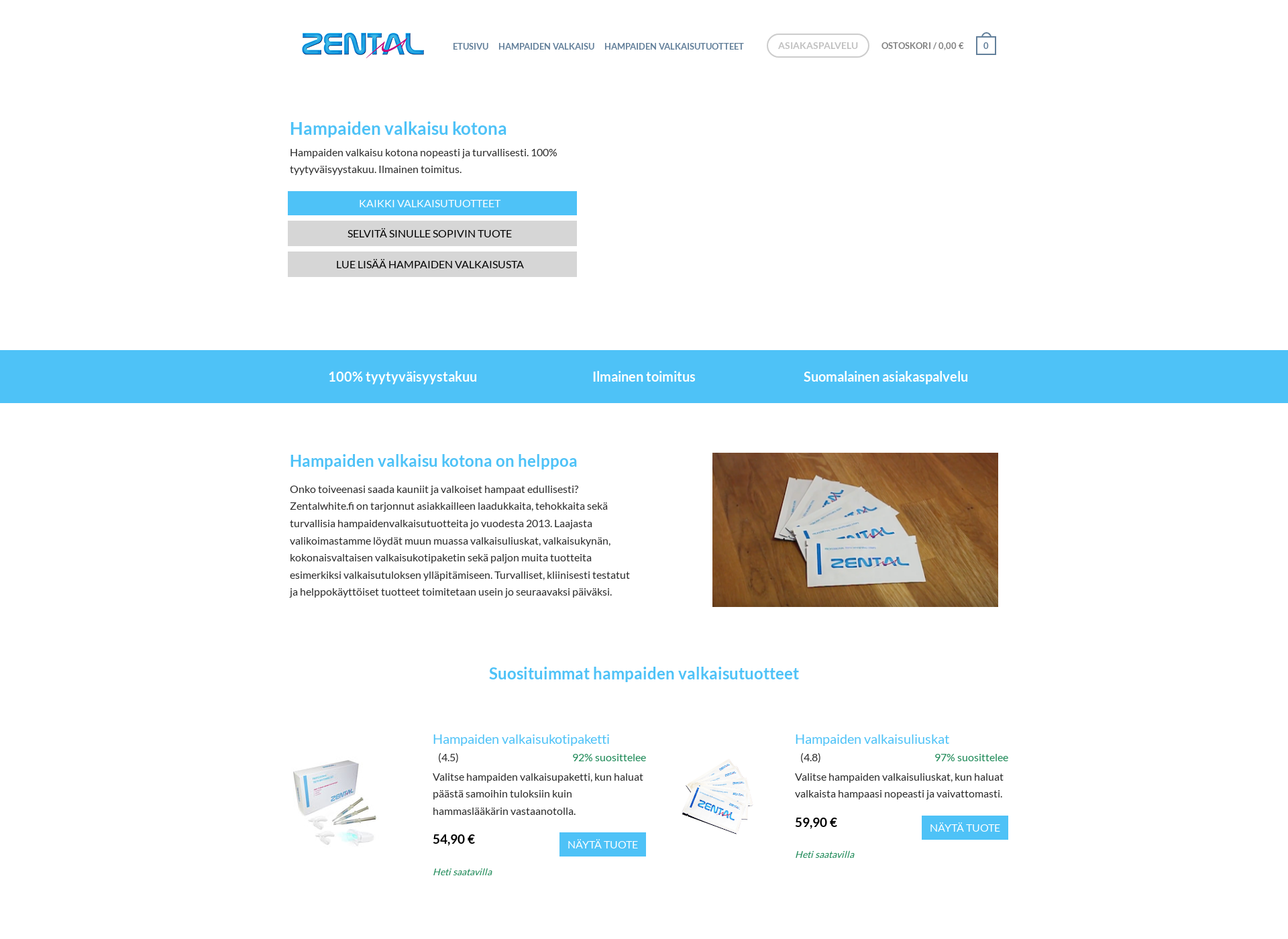 Screenshot for zental.fi