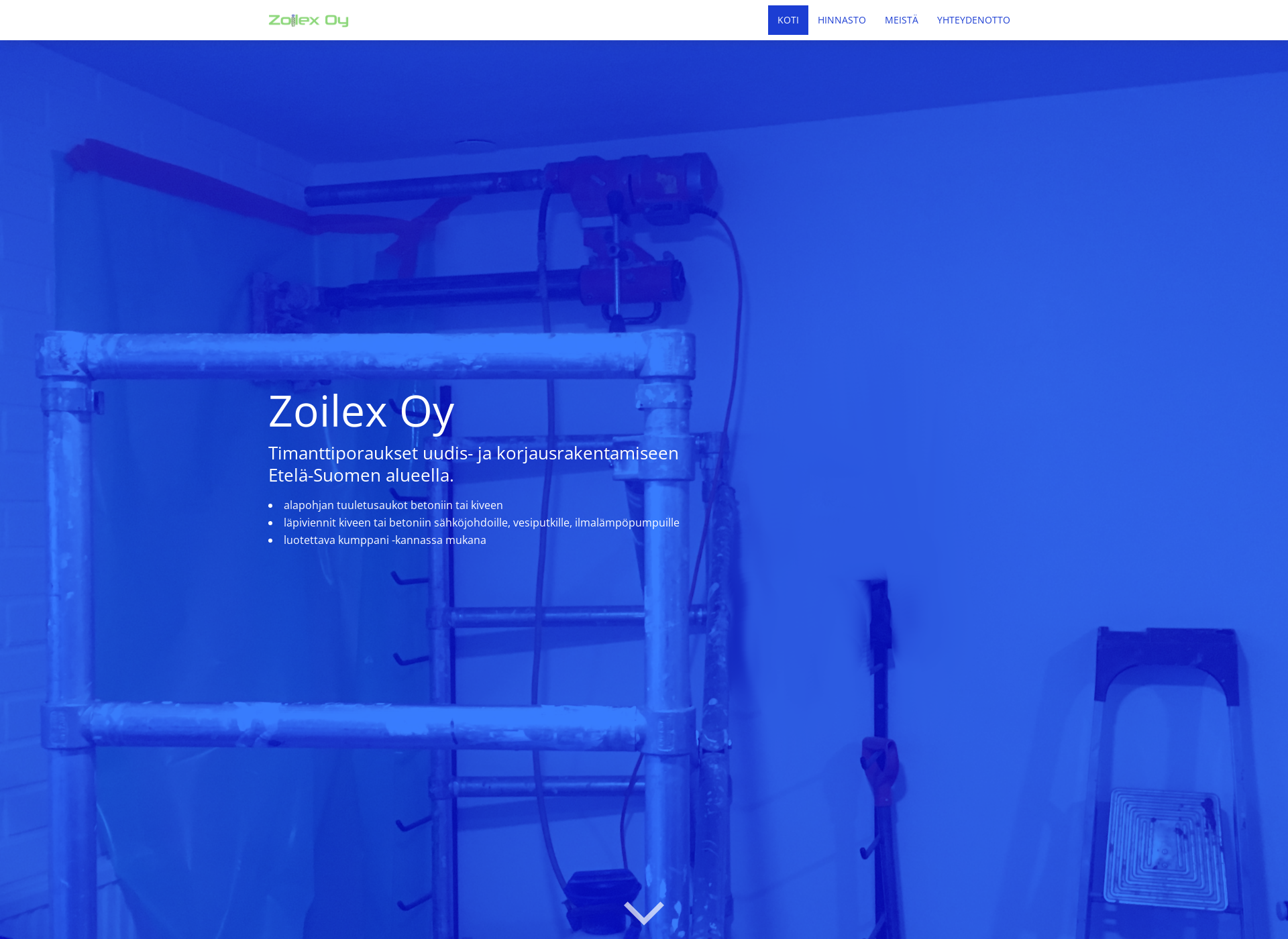 Screenshot for zoilex.fi